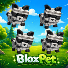 4X Raccoon